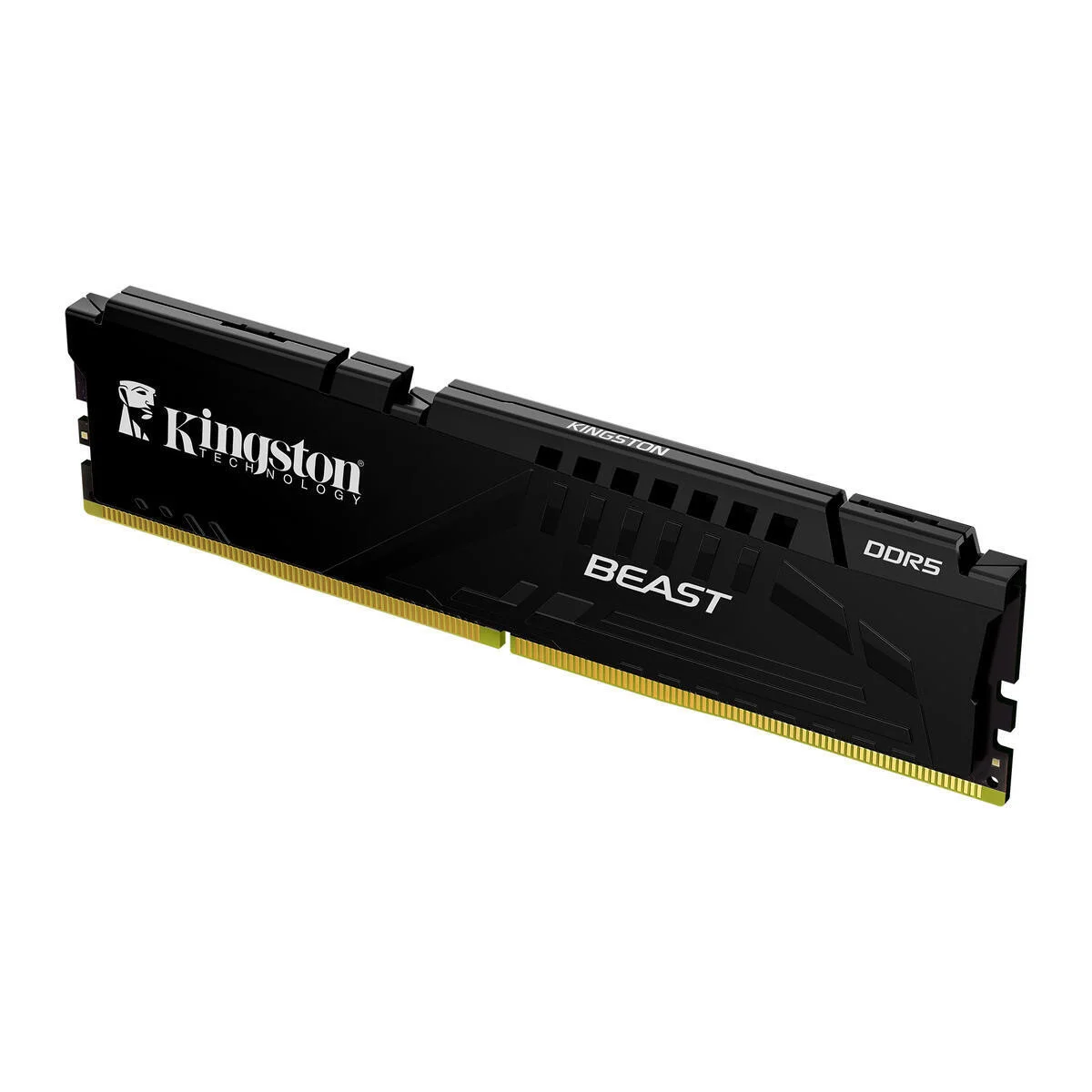 Kingston Beast KF556C36BBE-16TR 16GB (1x16) DDR5 5600Mhz CL36 Siyah Gaming RAM